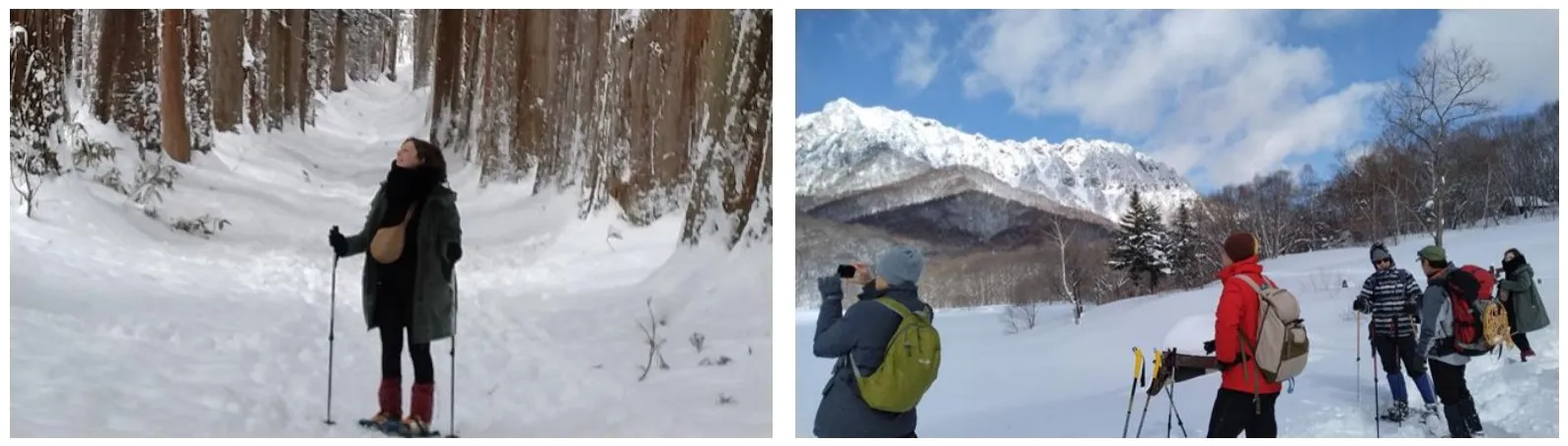 national-park-project